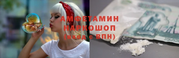 спиды Бородино