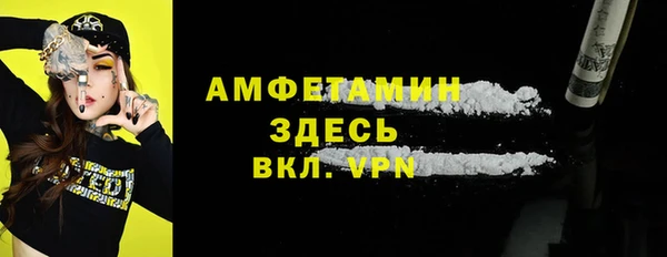 спиды Бородино