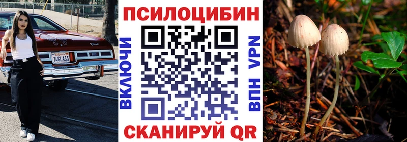Псилоцибиновые грибы Cubensis  Балтийск 